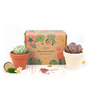 Succulents for Sale, Types of Succulents, Succulents Shop in California, Succulents and Cactus Plants, Cactus Box, Subscription Box with Care Instruction, Succulent Subscription Box