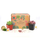 Subscription Box with Care Instruction, Succulent Subscription Box, Succulents for Sale, Types of Succulents, Succulents Shop in California, Succulents and Cactus Plants, Succulent Gift Box Monthly