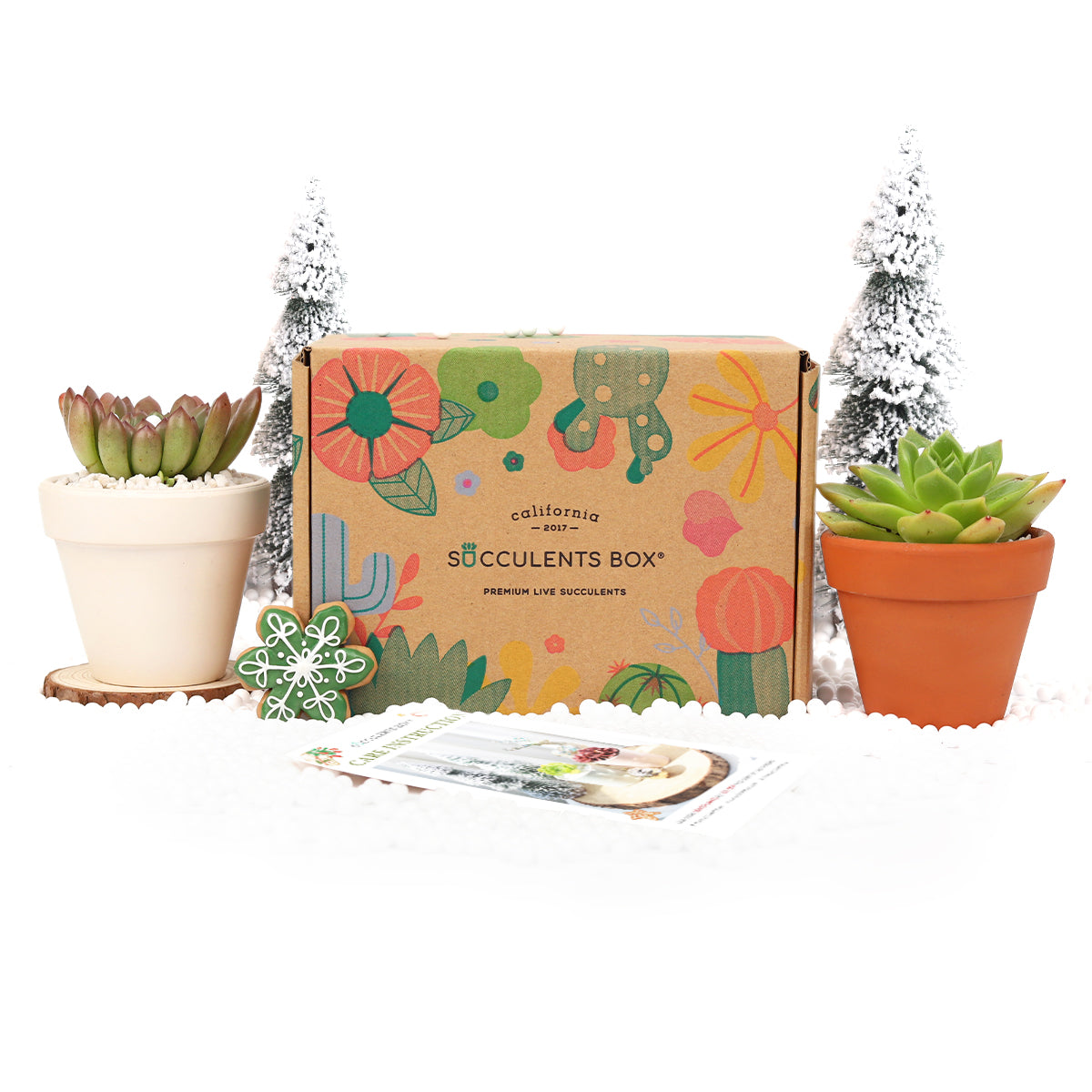 friends subscription box, subscription box service, eco friendly subscription box, plant box subscription