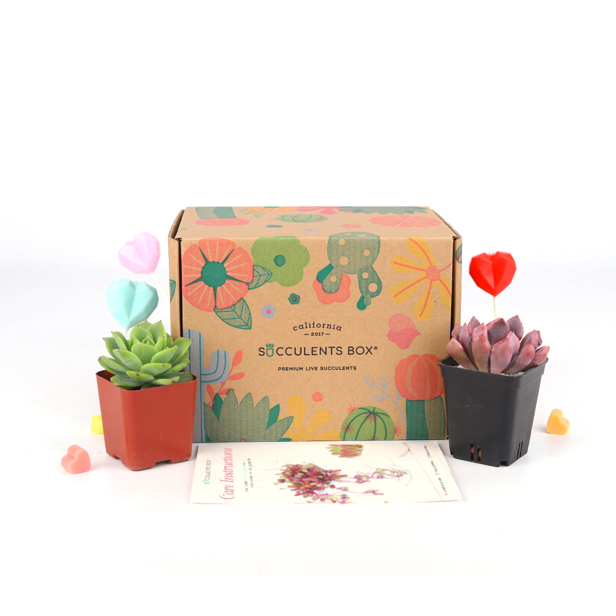 plant box subscription, sustainable subscription box, subscription box for teens
