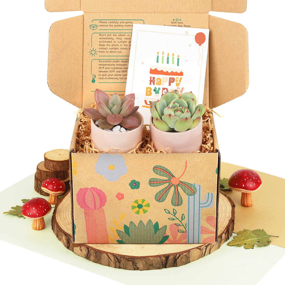 EcoFriendly Succulent Gift Box for Employee, Corporate Gift Succulents For Sale Online, Succulent Thank You Gift Ideas, birthday gift box