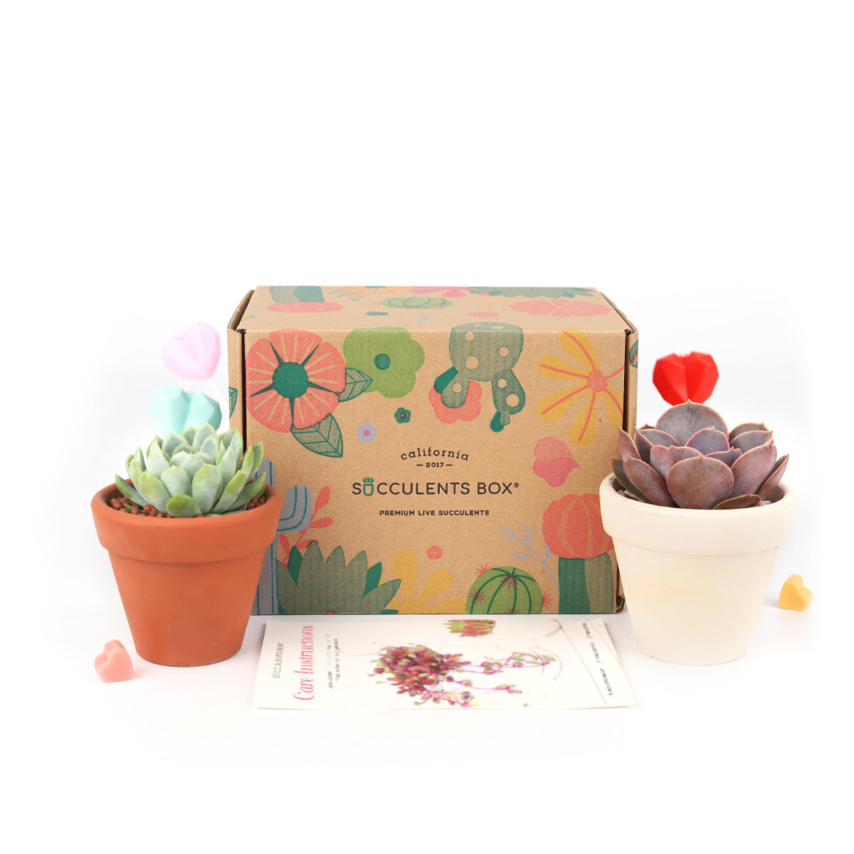 Subscription Box with Care Instruction, Succulent Subscription Box