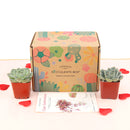 Subscription Box with Care Instruction, Succulent Subscription Box, Succulents for Sale, Types of Succulents, Succulents Shop in California, Succulents and Cactus Plants, Succulent Gift Box Monthly