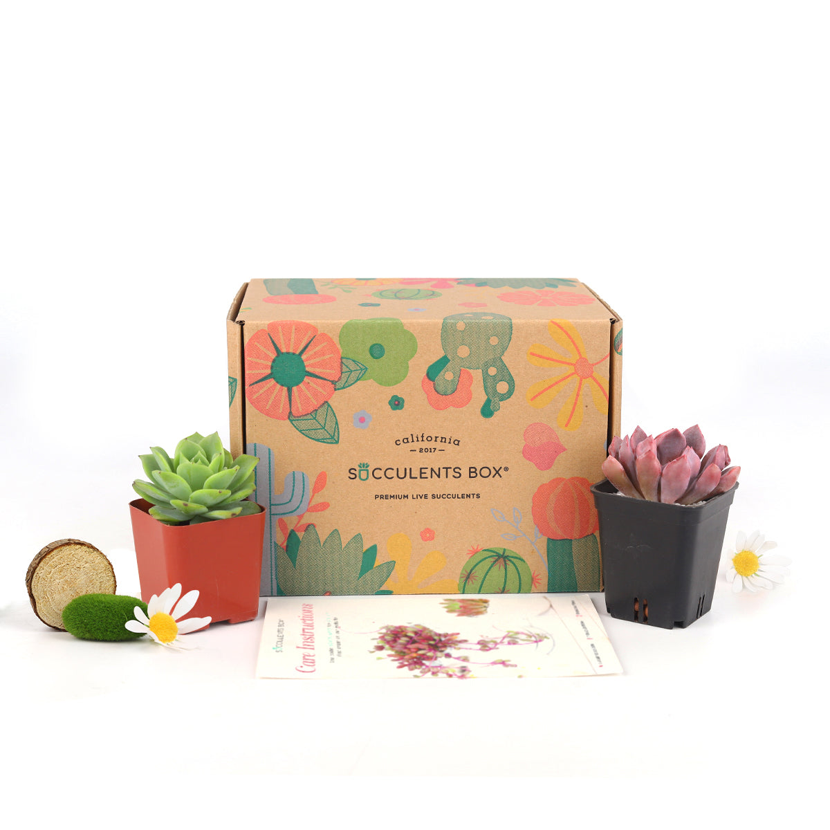 Subscription Box with Care Instruction, Succulent Subscription Boxv