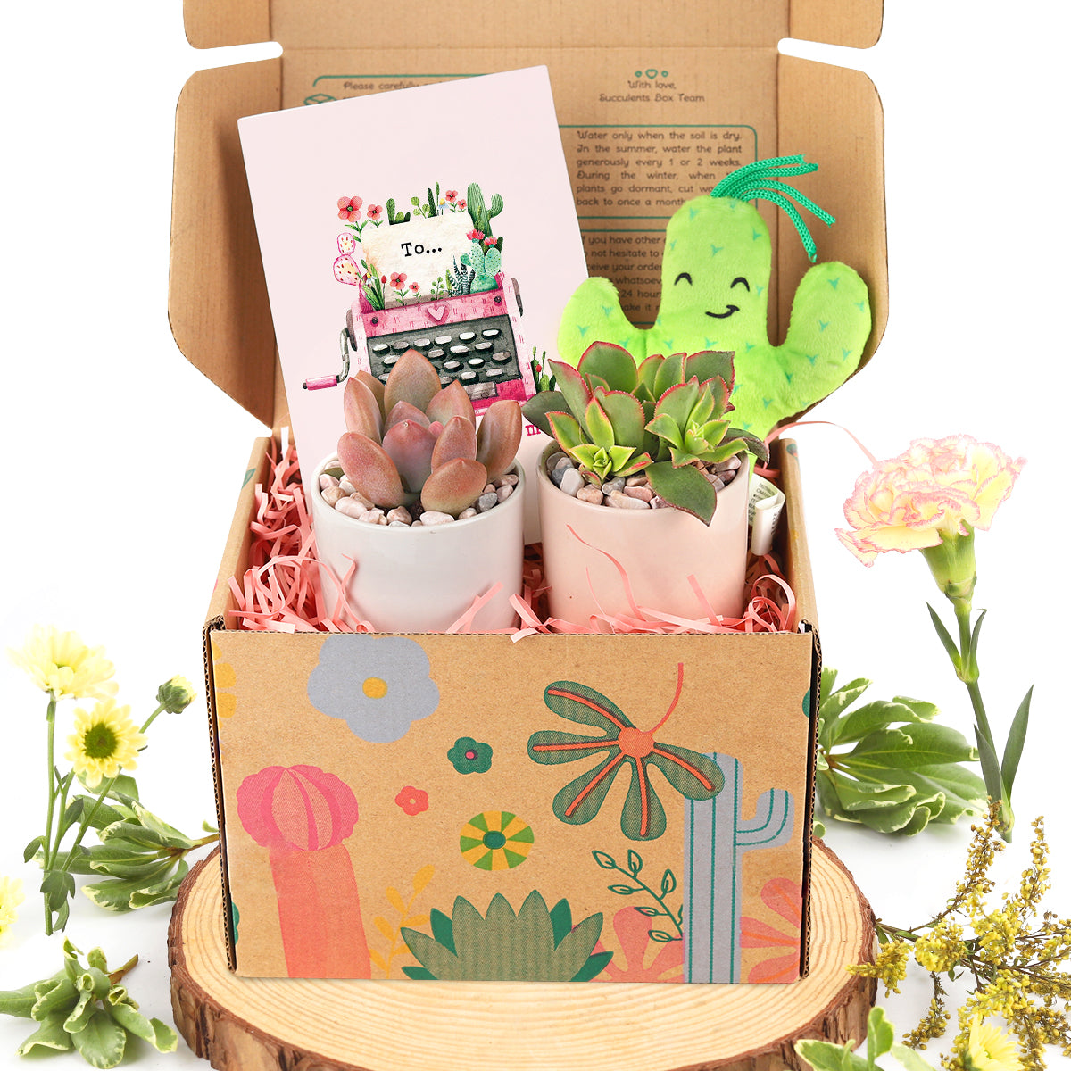EcoFriendly Succulent Gift Box for Employee, Corporate Gift Succulents For Sale Online, Succulent Thank You Gift Ideas, birthday gift box