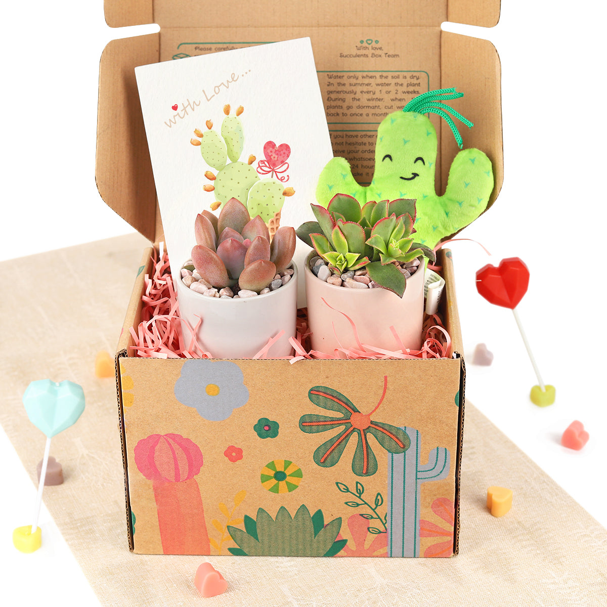 Rootbox™ Terrarium Kit, Scented giftbox, Cacti Succulent, VALENTINES  PRESENT