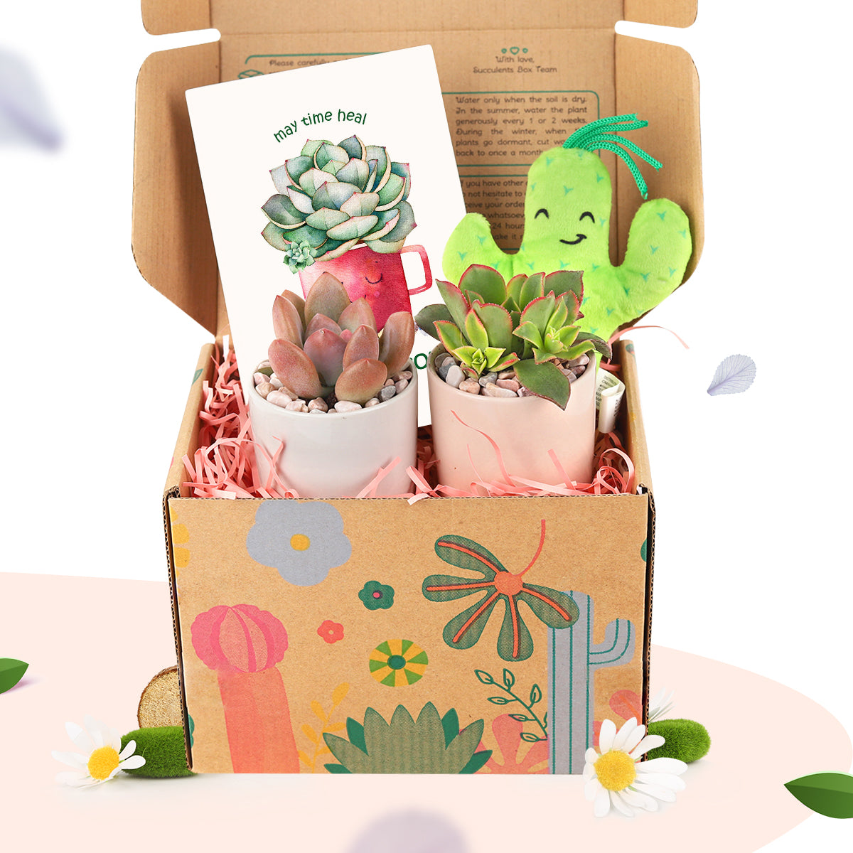 best succulent gift box, succulent gifts near me, succulent gifts for teachers, succulent gifts for coworkers