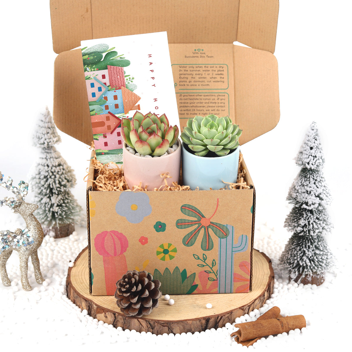 EcoFriendly Succulent Gift Box for Employee, Corporate Gift Succulents For Sale Online