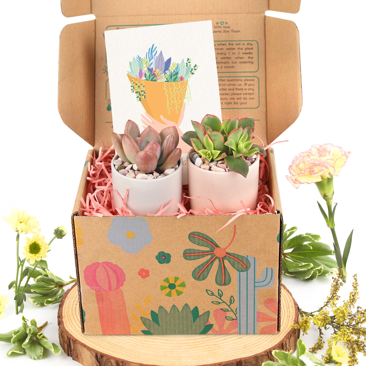 succulents gift box, gift box for plant lovers, 2025 gift box ideas
