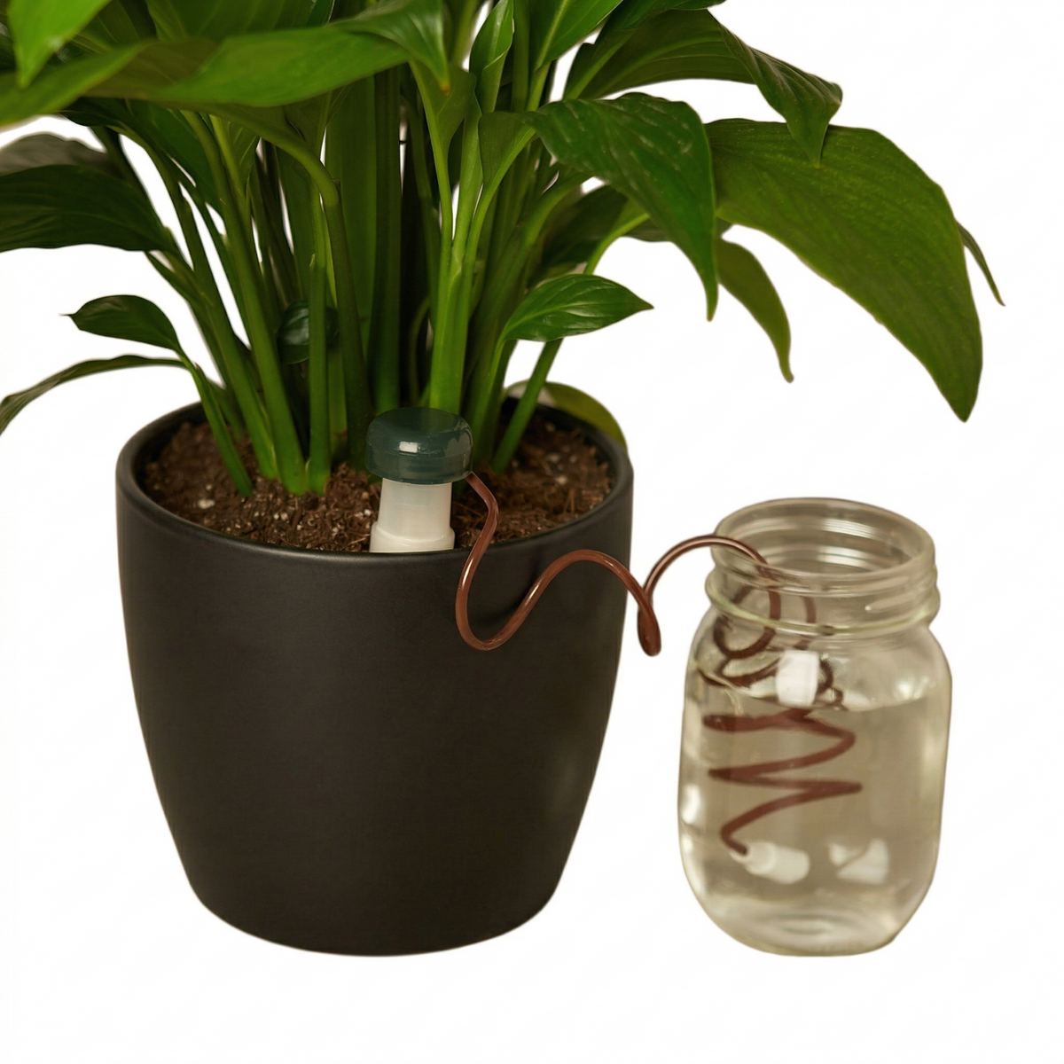 Buy Automatic Plant Waterers online, automatic plant waterers for indoor plants self watering system, automatic plant watering devices for busy plant owners, automatic plant watering kit for small pots and containers