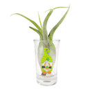 truck pattern air plant holder, St. Patrick&#39;s Day Pattern Airplant Holder, St. Patrick&#39;s Day Airplant Holder for home decoration