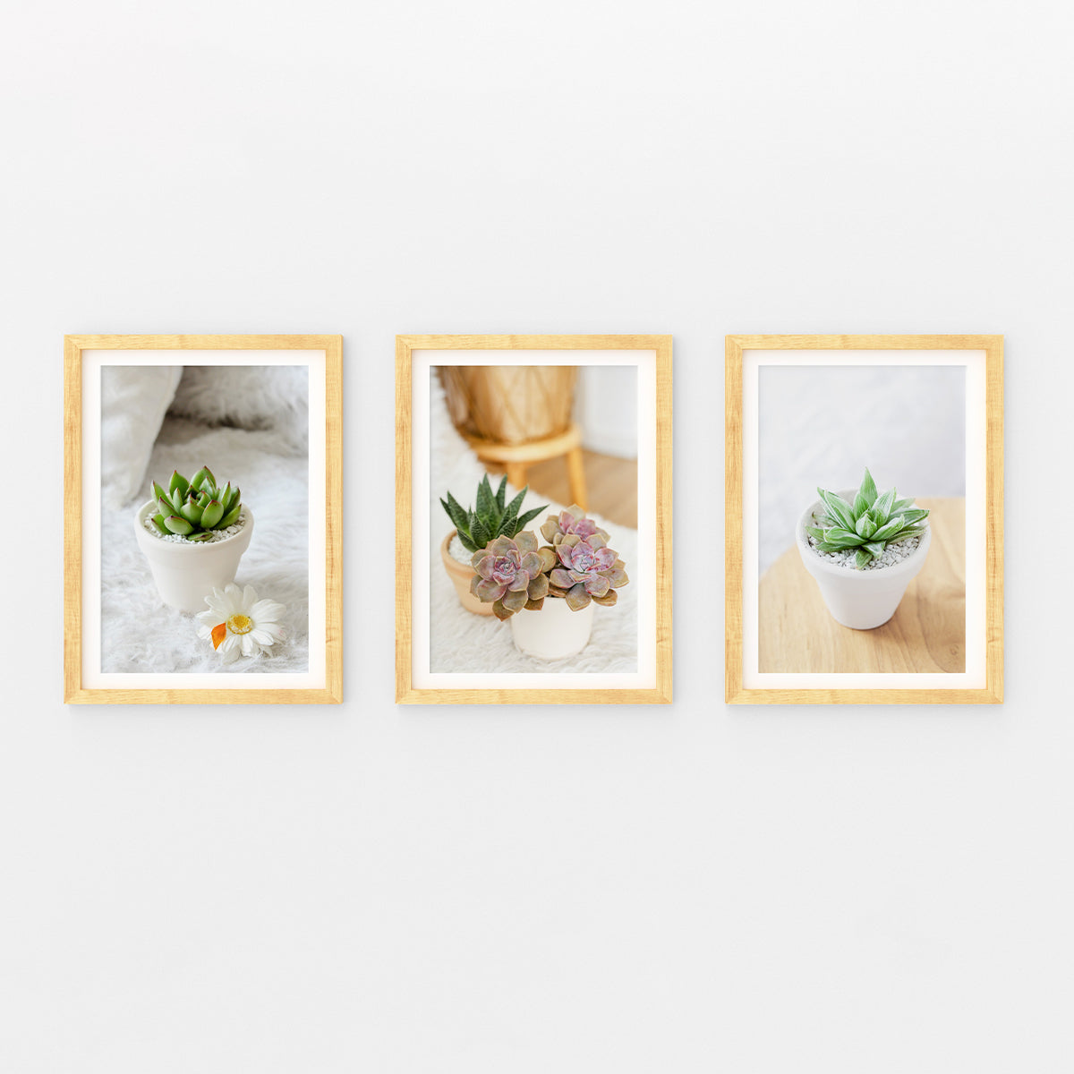 succulent wall stickers Printable Succulent Wall Art | Succulent Gift Ideas | Watercolor Succulent Prints