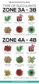 best succulent image, collection of Printable Succulents Art, digital printable succulent, choosing succulent for zone, Succulent designs Zone, Succulents Hardiness Zone, Printable Arts: Types of Succulent Zones for sale, Succulent Printable, succulent printable selection, succulent decor idea, succulent gift, succulent art