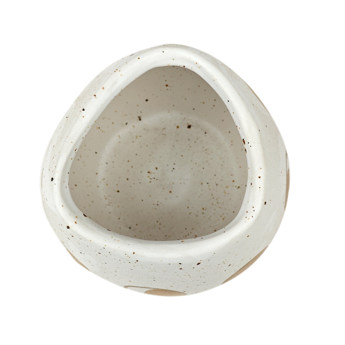 indoor cactus plant pots, decorative pots for succulents, unique succulent pots, succulent planter ideas indoor, buy small plant pots online