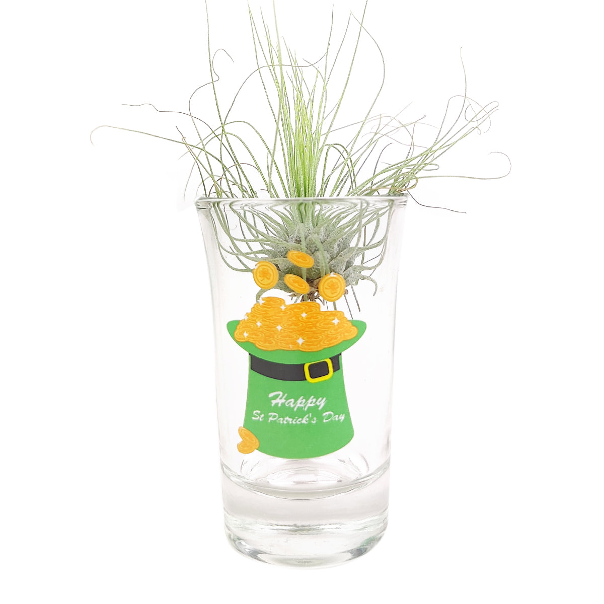 glass air plant display, St. Patrick&#39;s Day Airplant display, mini airplant display