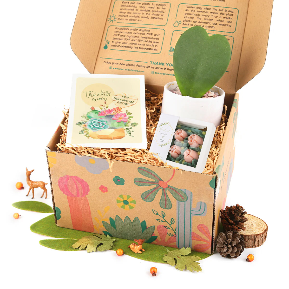 Gift Box - 1 Houseplant and 1 Hand-made Soap, relaxing gift set, gift for women 2024, holiday gift ideas