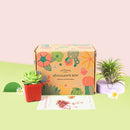 Succulent subscription box delivered monthly, Succulent subscription gift for sale, airplants subscription box monthly