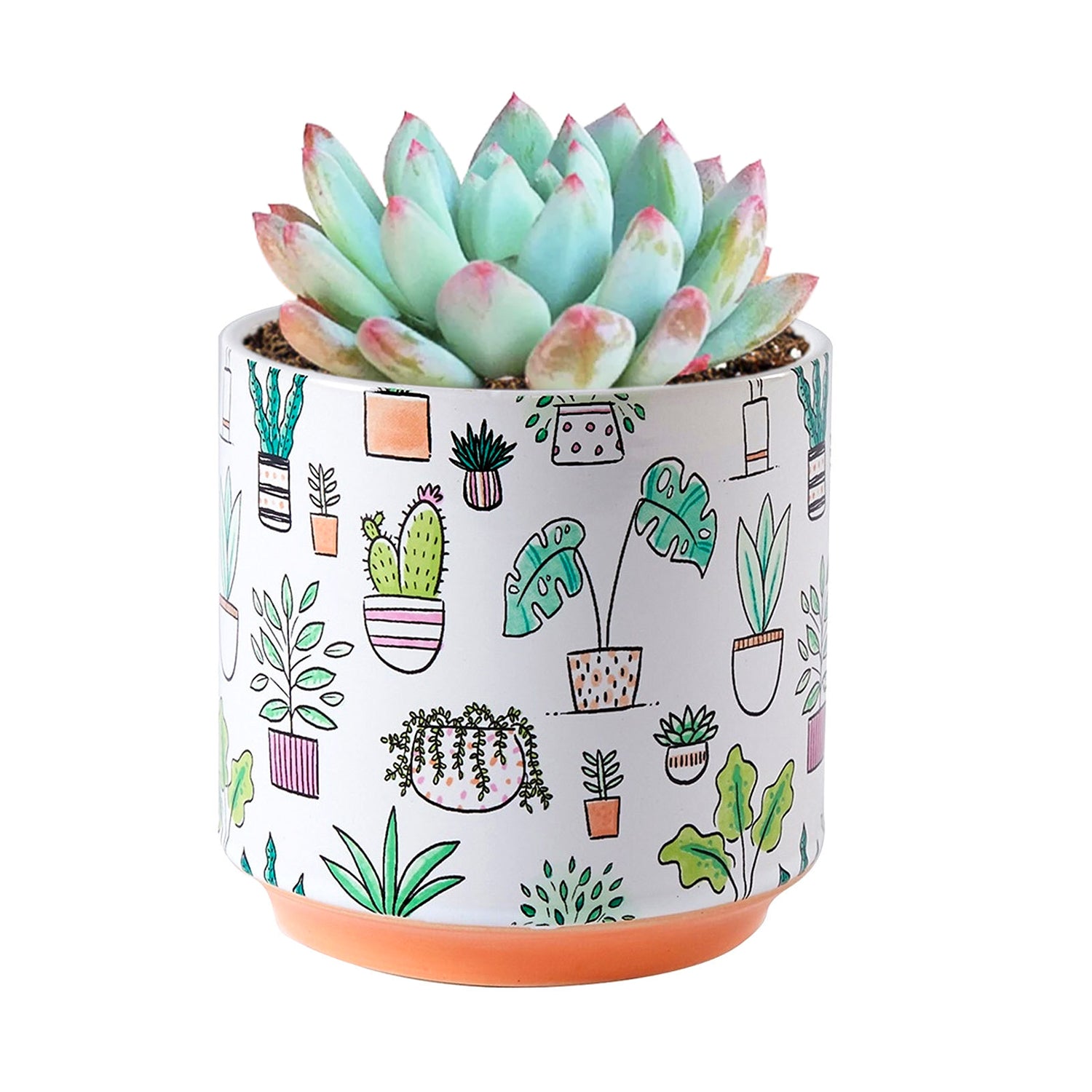3 inch Houseplant Pattern Pot, cute pots for succulents and cacti, white ceramic pots, 3 inch pots with cute pattern for indoor plants