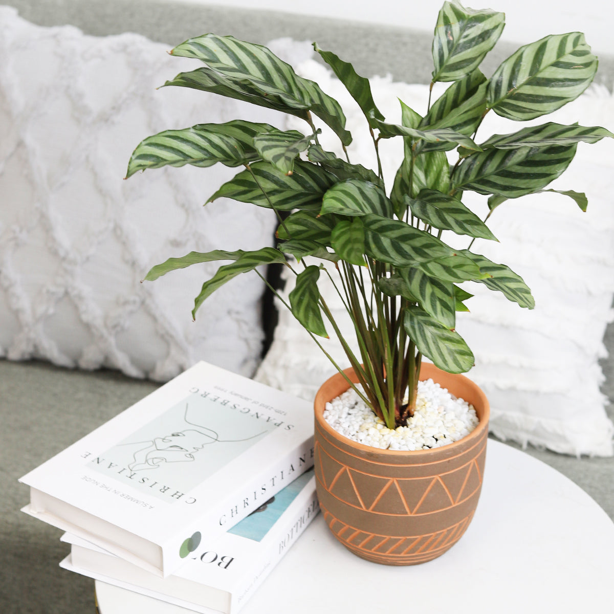 5.5 inch Black-Clay pot, Geometric Pattern Pot, 5.5 inch Black-Clay Color Geometric Pattern Pot for sale