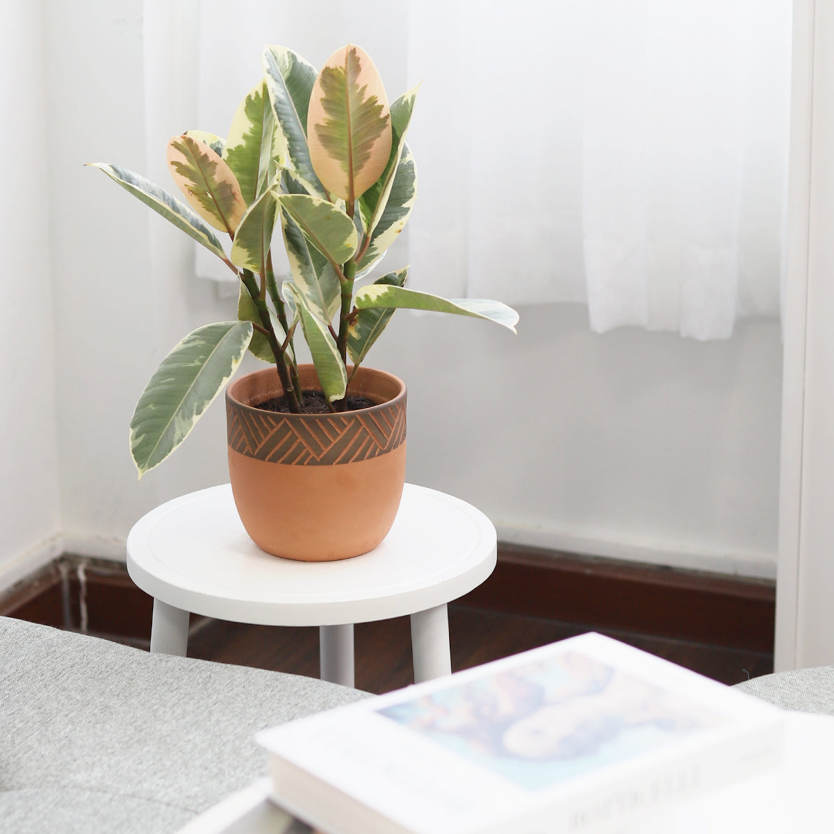 modern pot for houseplant and succulent, black pot for indoor plant, 5.5 inch modern pot