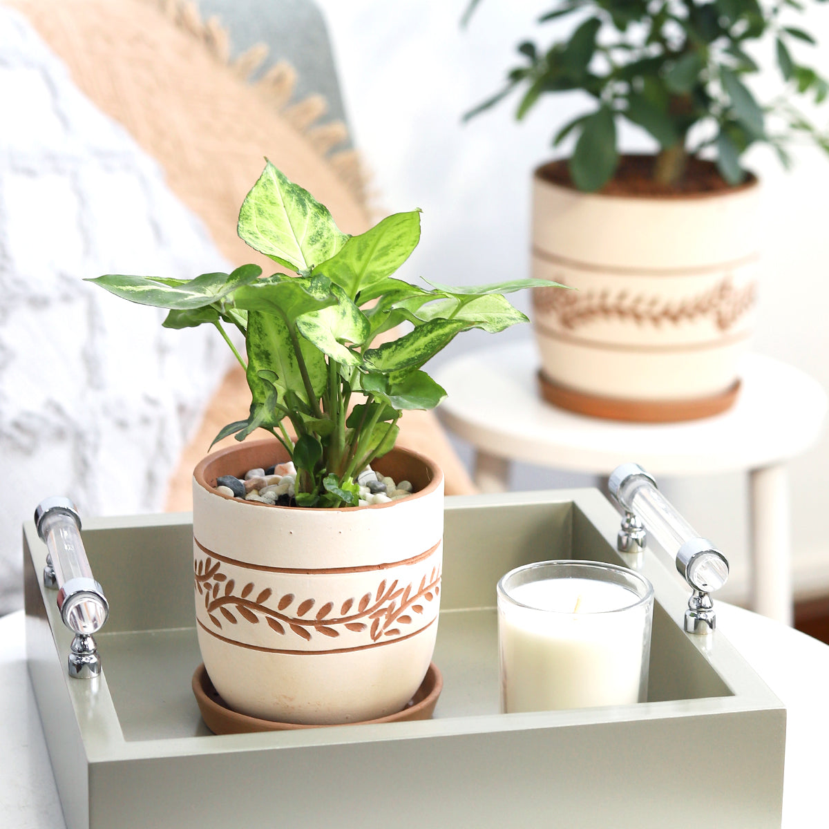 clay pots for plants online White Clay Horizontal Leaf Pattern Pot - Terracotta Planter for Succulent & Flower