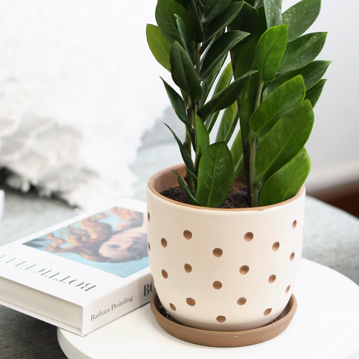 clay pots for plants online Clay White Polka Dot Pattern Pot