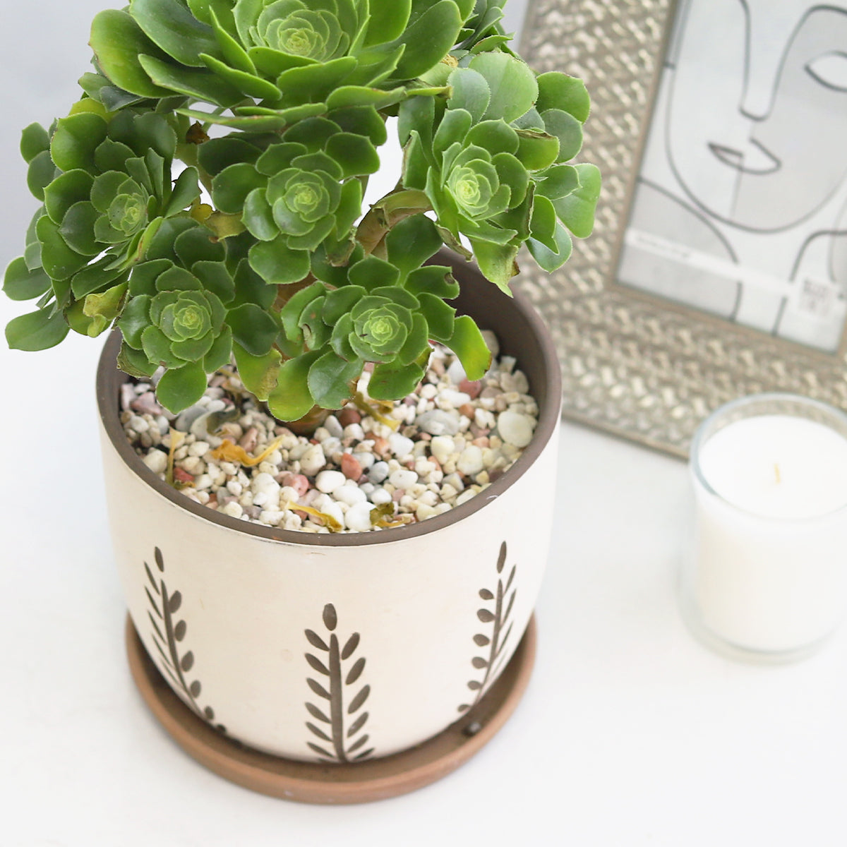 indoor terracotta planter, indoor terracotta planter for sale, buy indoor terracotta planter online, indoor terracotta planter for succulents and houseplants