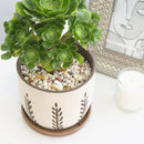 indoor terracotta planter, indoor terracotta planter for sale, buy indoor terracotta planter online, indoor terracotta planter for succulents and houseplants