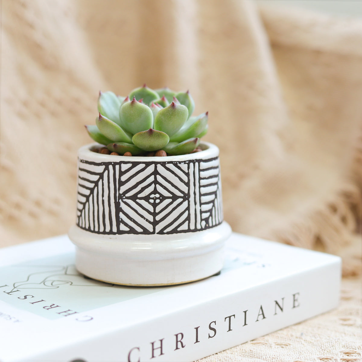 pottery succulent pots Tribal Geometric Ceramic Pot | Geometric Pot for Cactus & Succulent