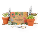 Succulent Subcription Boxes for sale, Succulents for Sale, Types of Succulents, Succulents Shop in California, Succulents and Cactus Plants, Cactus Box, Subscription Box with Care Instruction, Succulent Subscription Gift Box Monthly