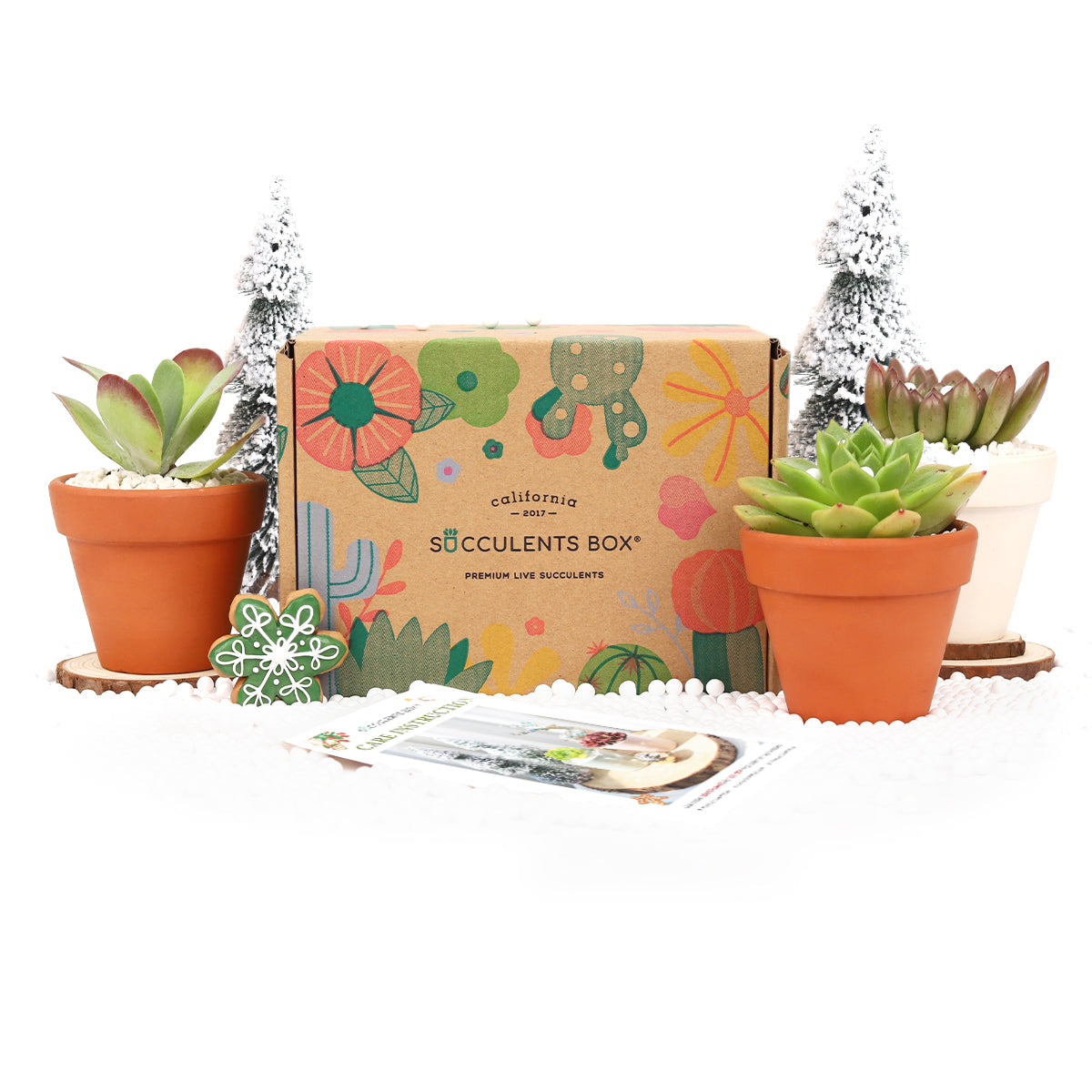 plant subscription box monthly, best subscription box, garden subscription box, subscription box gifts