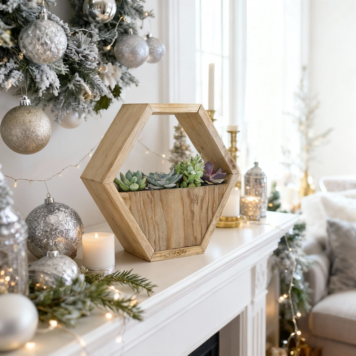 Succulent Arrangement in Hexagon Wall Planter