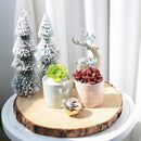 Coral Modern Cylinder Pot