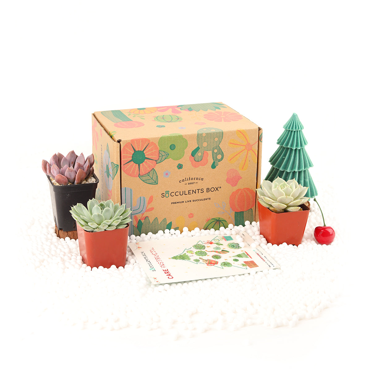 plant box subscription, sustainable subscription box, subscription box for teens