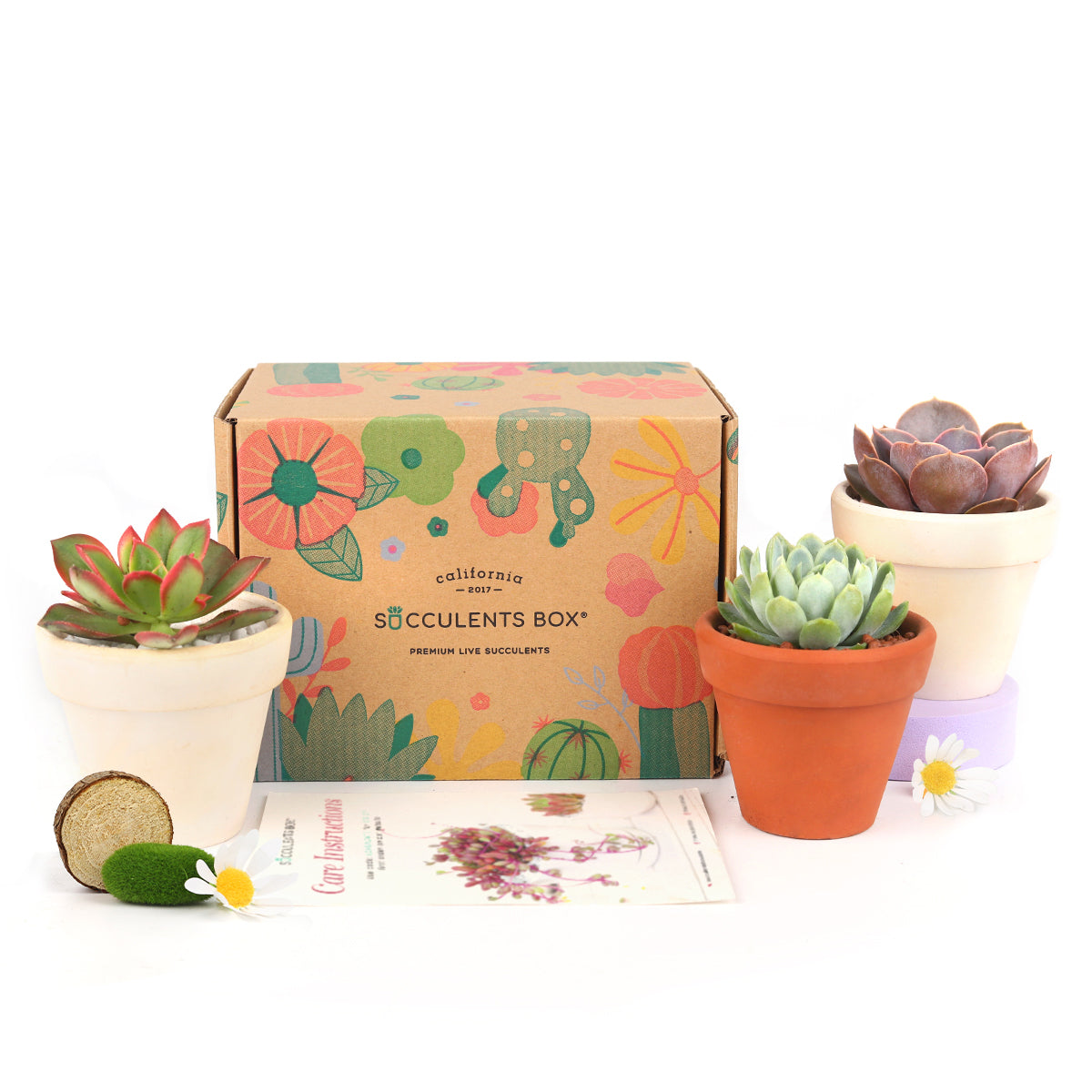 Subscription Box with Care Instruction, Succulent Subscription Box