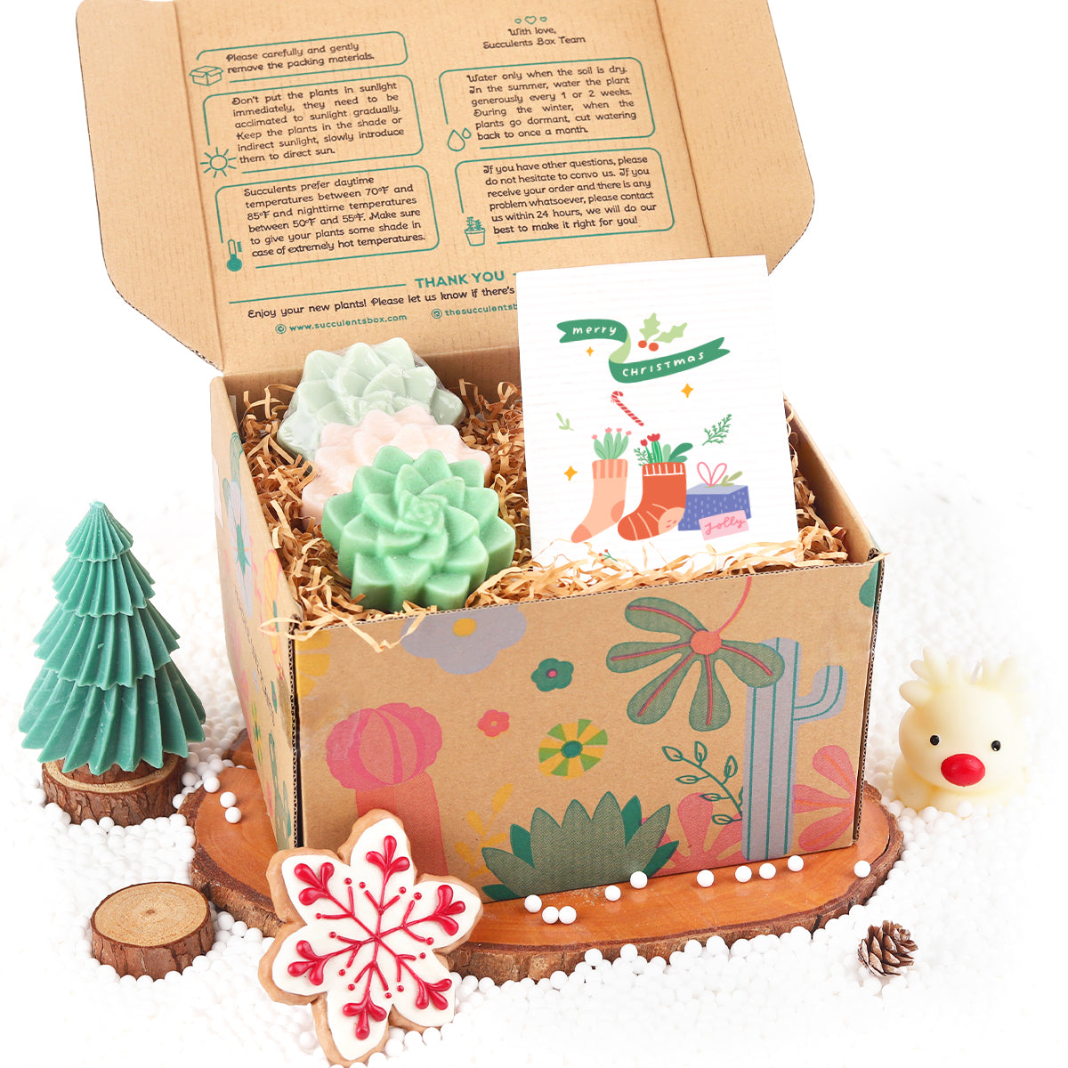 Gift Box -  Set of 3 Rosette Succulent Soaps