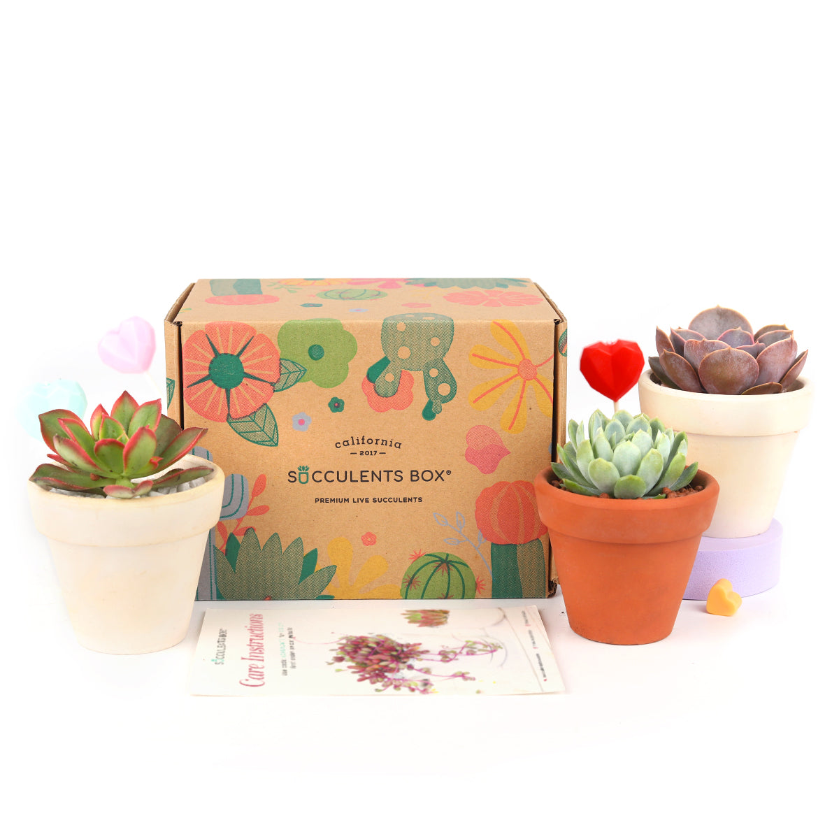 Subscription Box with Care Instruction, Succulent Subscription Box