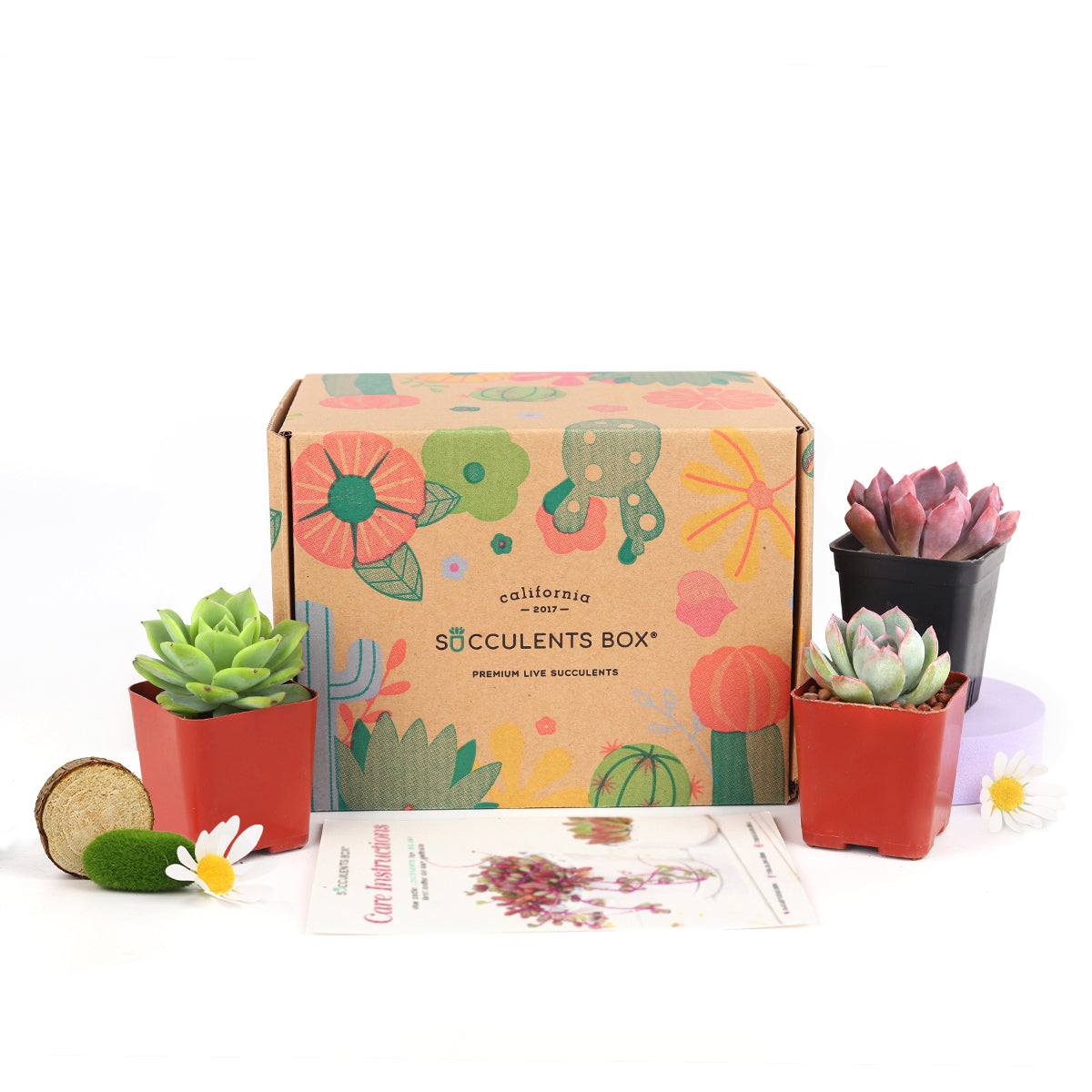 Subscription Box with Care Instruction, Succulent Subscription Box