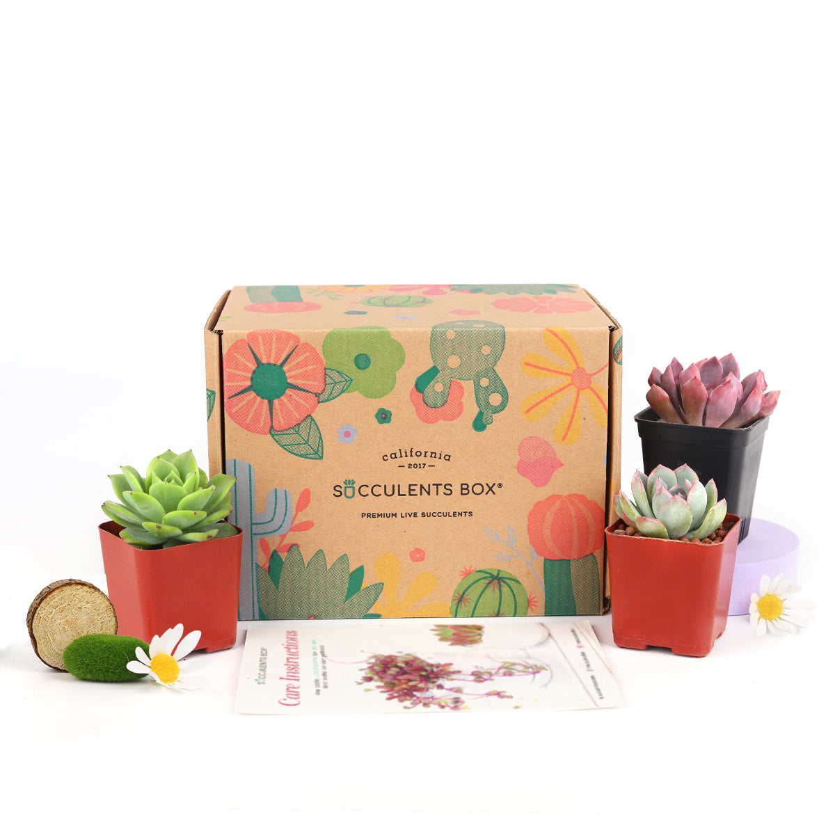 plant box subscription, sustainable subscription box, subscription box for teens