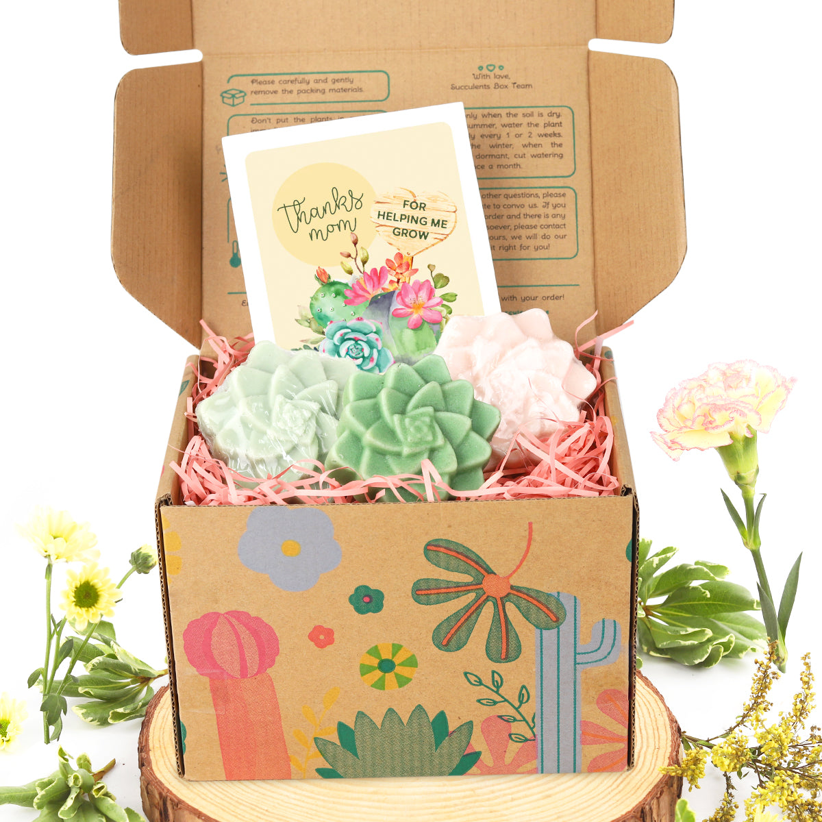 Buy gift box for Mother&#39;s Day, Unique gift ideas for your Mom, Rosette succulent soap gift for sale