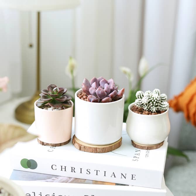 White Modern Cylinder Pot