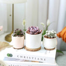 Modern Pot Decor for Home or Office, High Quality Ceramic Pot for Plants and Flowers, Modern Style Indoor Ceramic Planter, Small Minimalist Pot