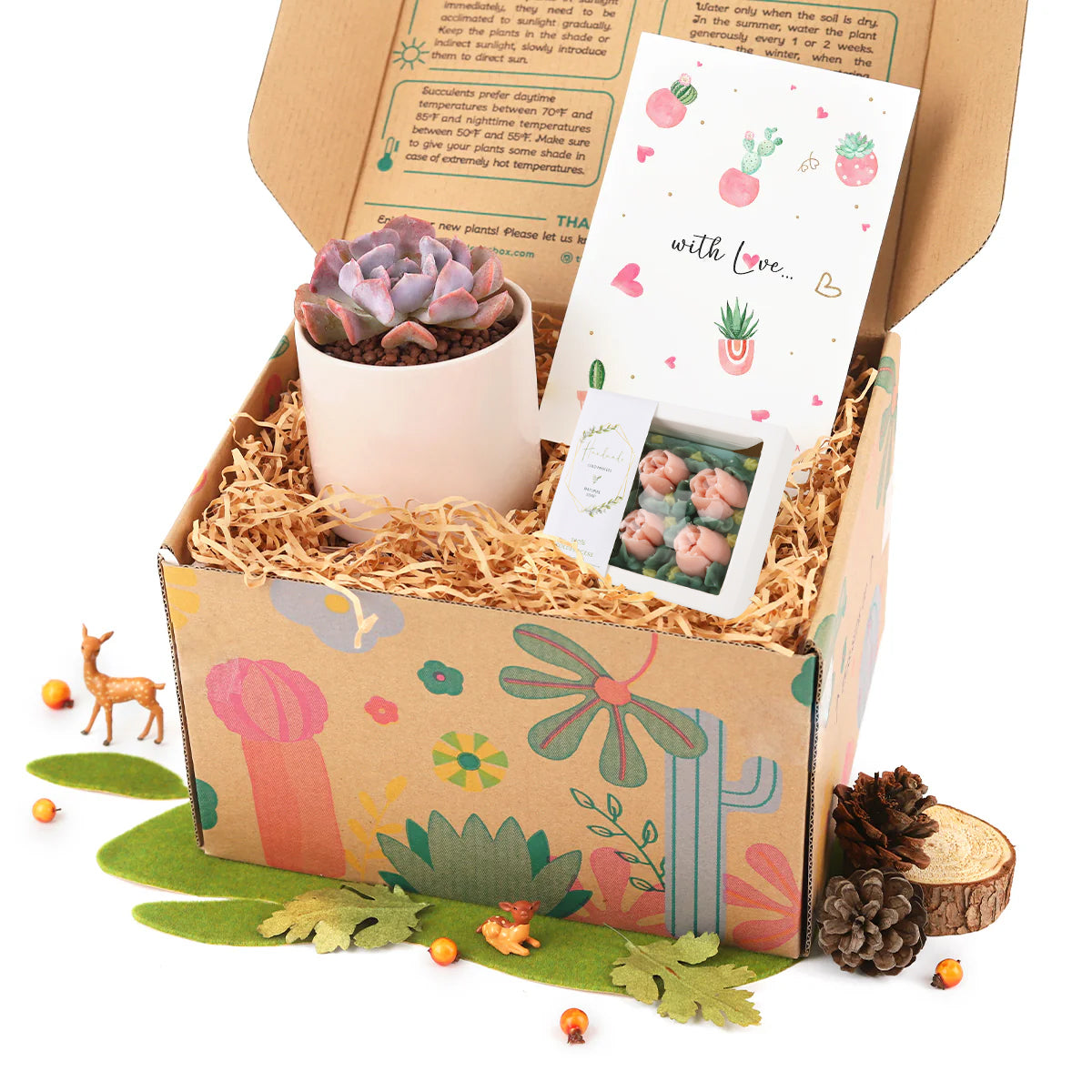 Gift Box - 1 Succulent and 1 Hand-made Soap, plants gift box for sale, relaxing gift set, gift for plant lovers, gift boxes for sale in ca