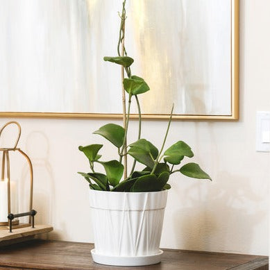 7 inch White Ceramic Plant Pot for Sale, Buy Houseplant Ceramic Planter, Decorative Succulent Pot Gift Decor Ideas