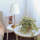 Ivy Kolibre care, Ivy Kolibre near me, trailing houseplants, best trailing plants, indoor trailing houseplant, ivy plant décor ideas, ivy plant gift ideas, Kolibre ivy care, common Ivy Plants