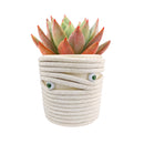 unique succulent and cactus pots, 5 inch off-white clay pots, pots for spooky season decoration