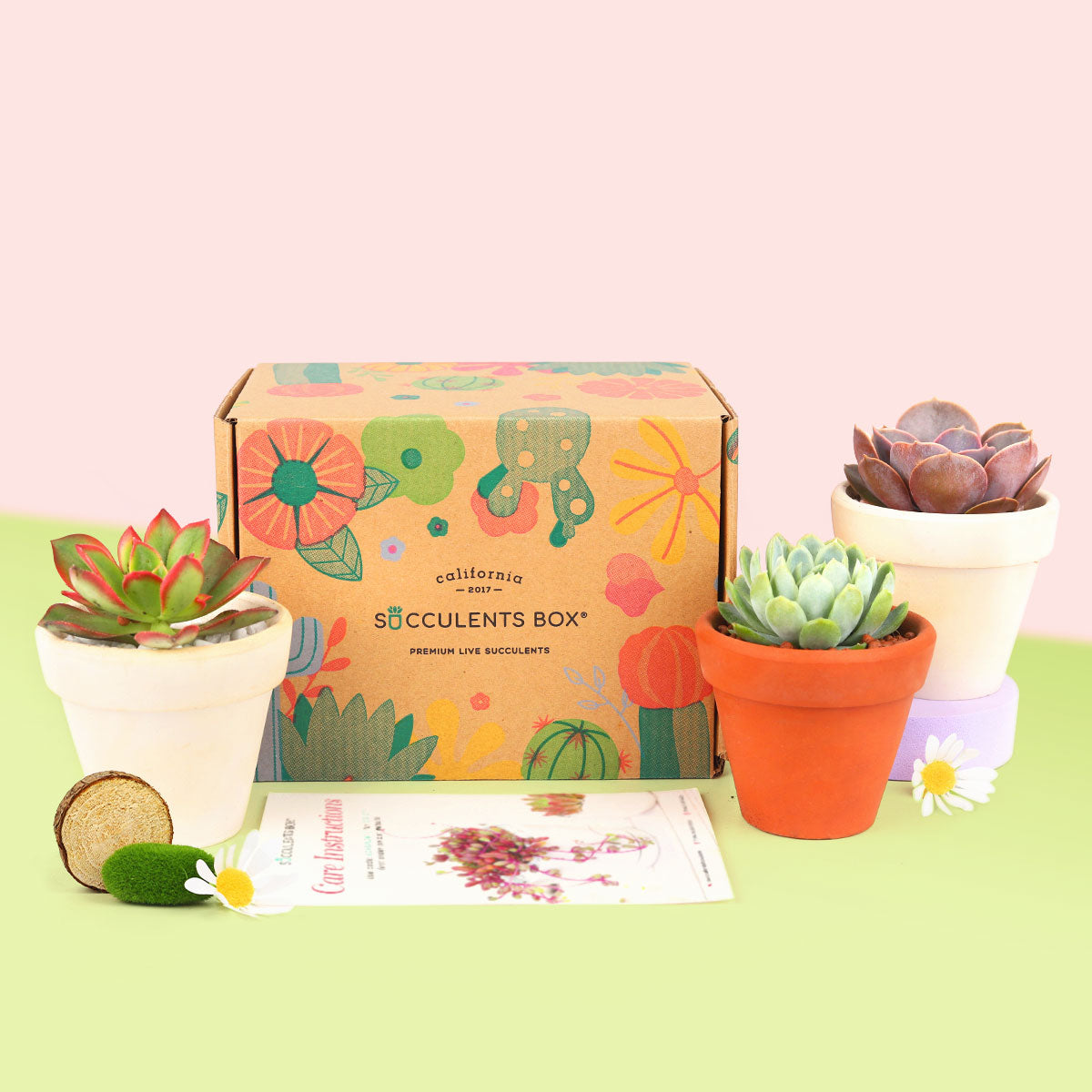 Subscription Box with Care Instruction, Succulent Subscription Box