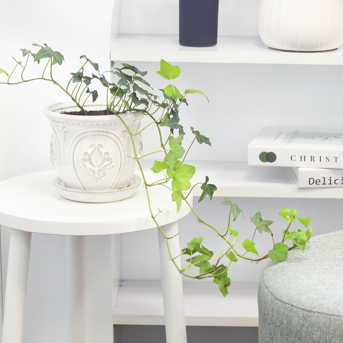 ceramic planter, classic pattern planter, white ceramic planter, 6 inch ceramic planter, classic ornate ceramic planter, houseplant pot, buy houseplant pot near me