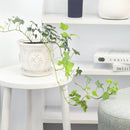 ceramic planter, classic pattern planter, white ceramic planter, 6 inch ceramic planter, classic ornate ceramic planter, houseplant pot, white ceramic embossed pattern planter