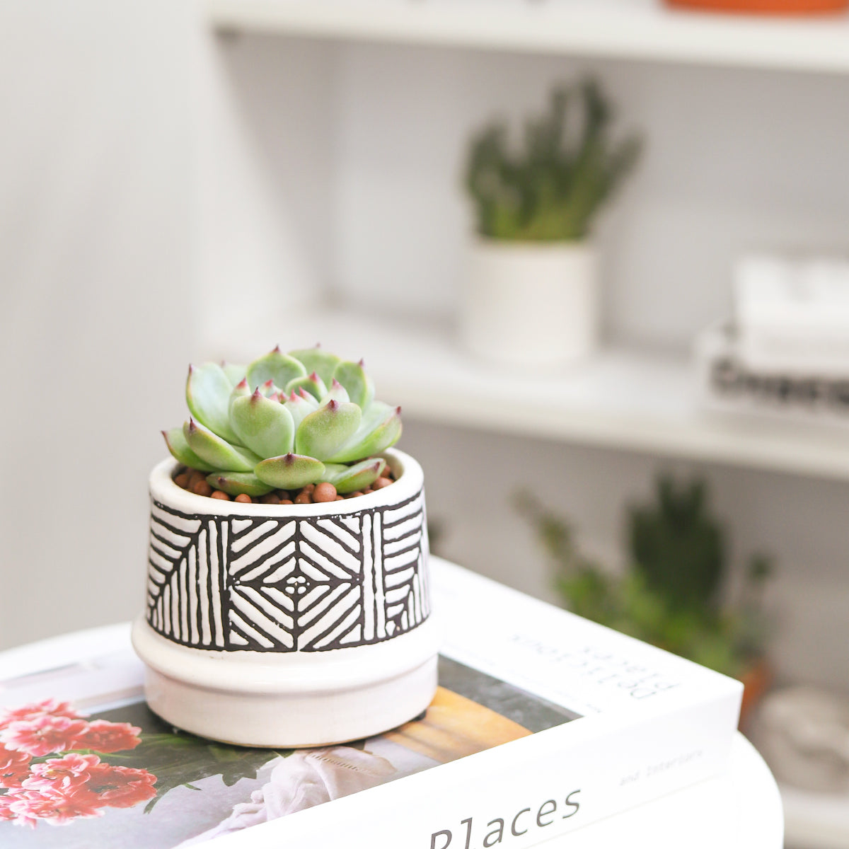 geometric succulent vase Tribal Geometric Ceramic Pot | Geometric Pot for Cactus & Succulent